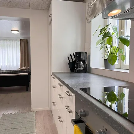 Tunnelmallinen Puutalohuoneisto. Apartman